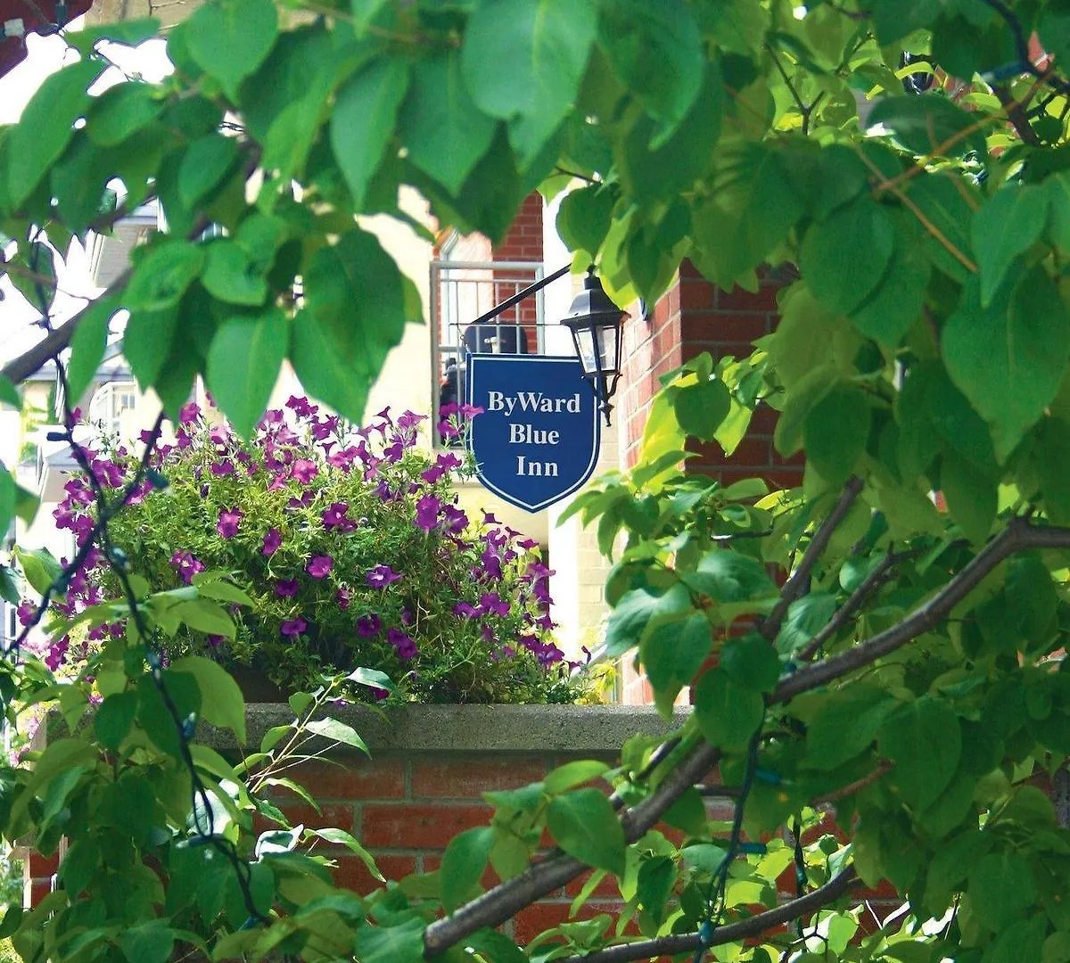Отель Byward Blue Inn Оттава