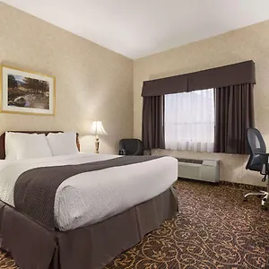 book here